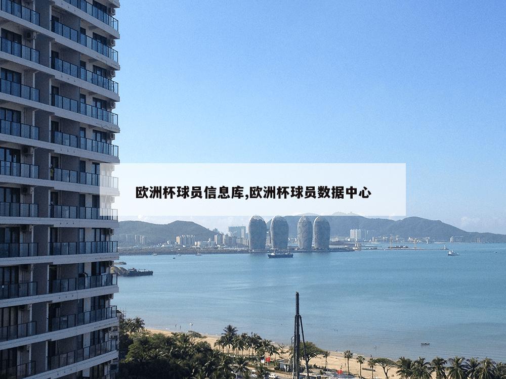 欧洲杯球员信息库,欧洲杯球员数据中心