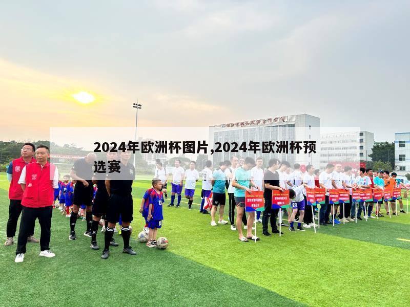 2024年欧洲杯图片,2024年欧洲杯预选赛