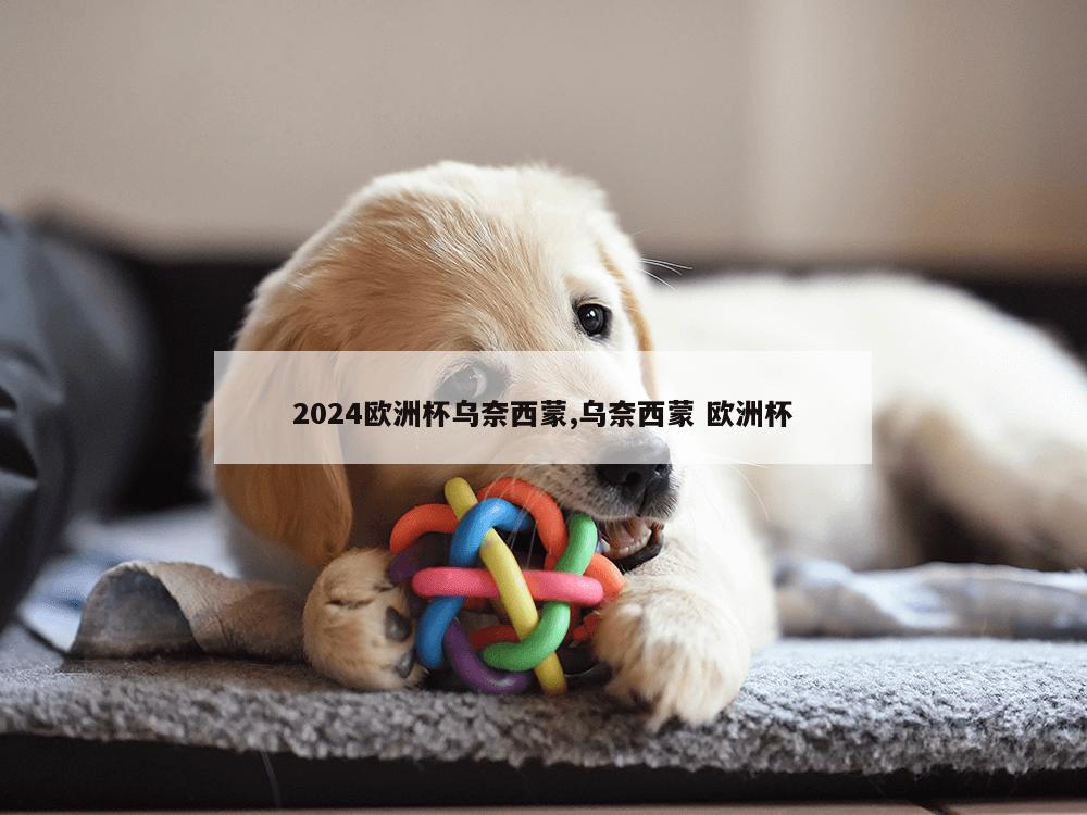 2024欧洲杯乌奈西蒙,乌奈西蒙 欧洲杯