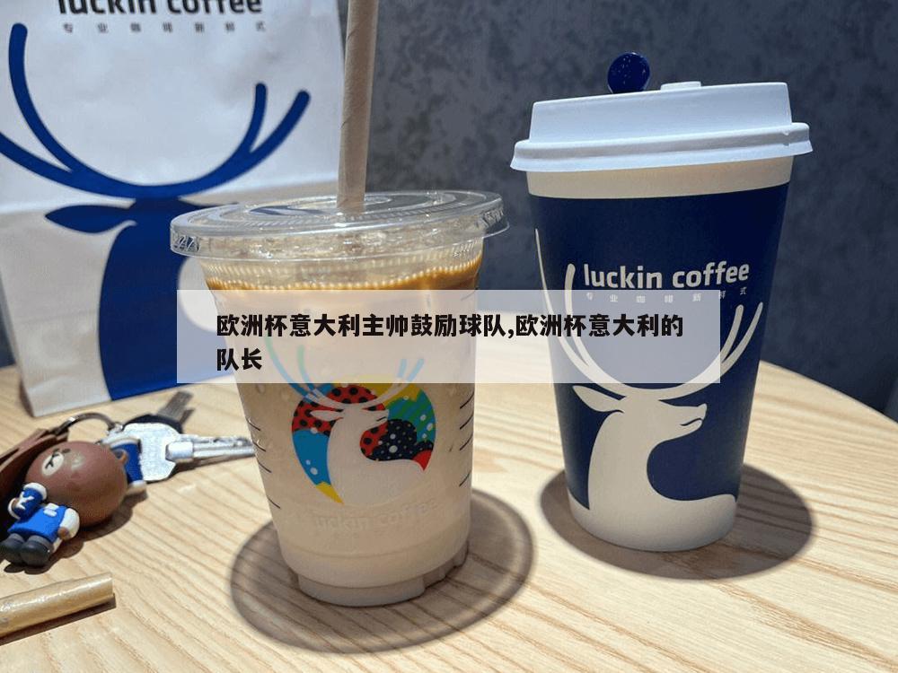 欧洲杯意大利主帅鼓励球队,欧洲杯意大利的队长