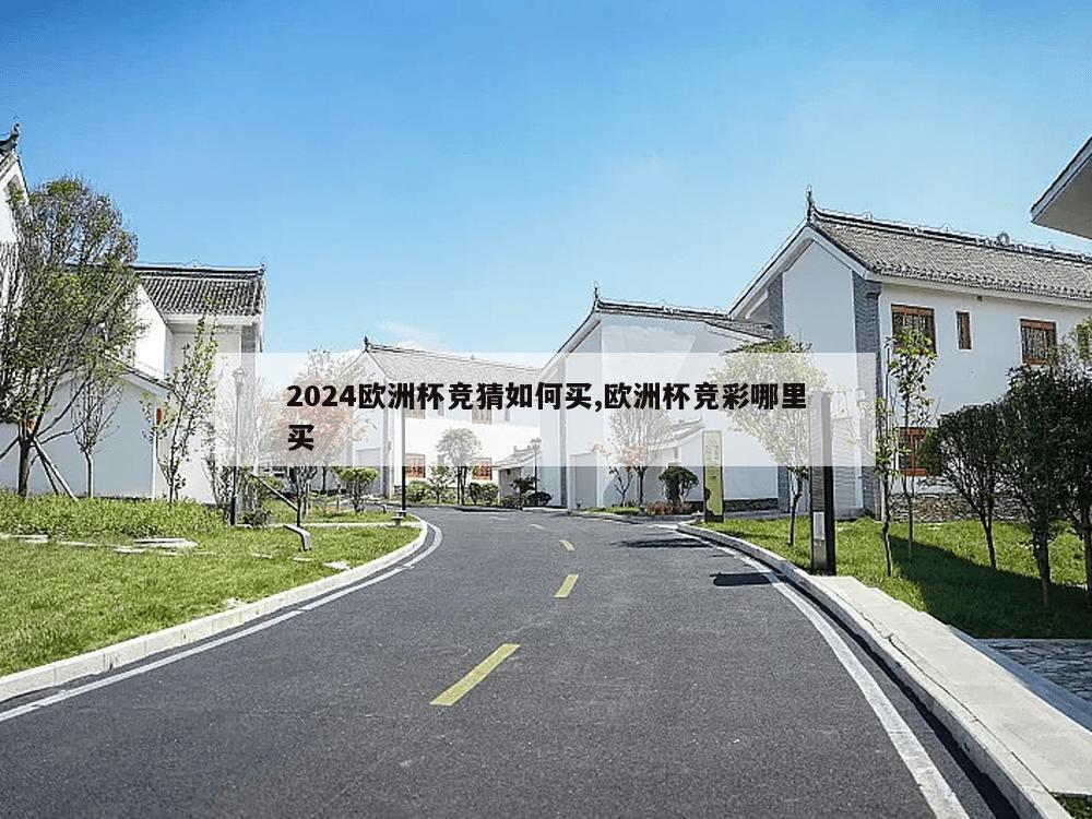 2024欧洲杯竞猜如何买,欧洲杯竞彩哪里买