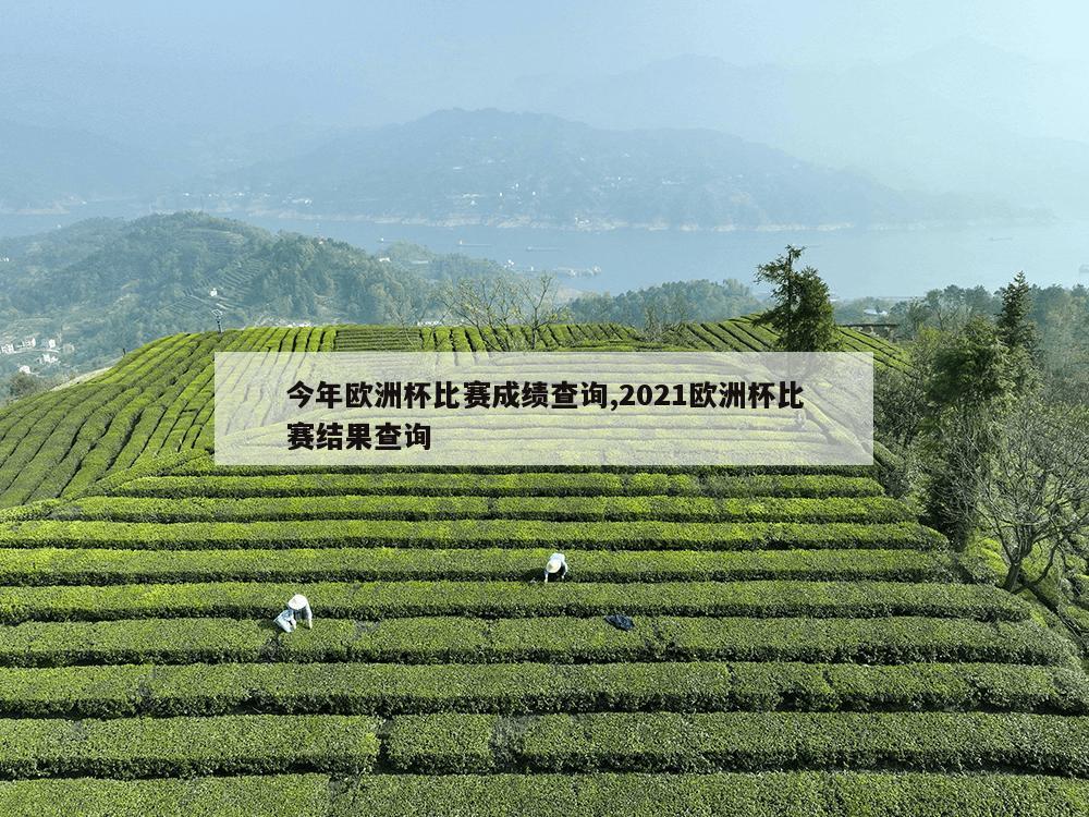 今年欧洲杯比赛成绩查询,2021欧洲杯比赛结果查询