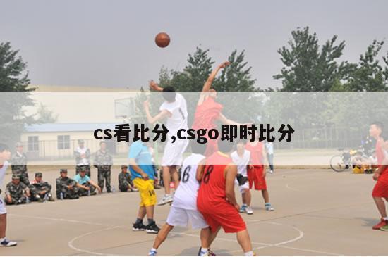 cs看比分,csgo即时比分