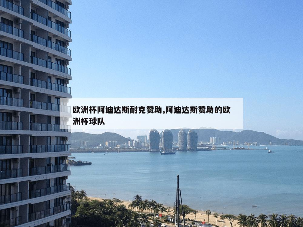 欧洲杯阿迪达斯耐克赞助,阿迪达斯赞助的欧洲杯球队